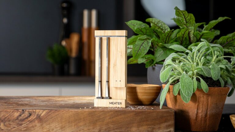 MEATER Pro Duo: Smart Meat Thermometer with Dual Probes by Apption Labs on Gadget Flow