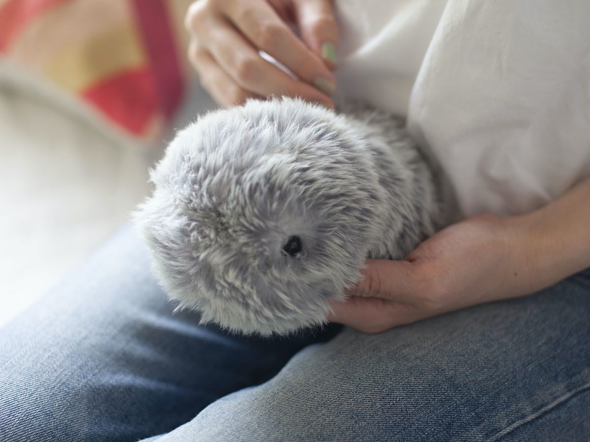Moflin: A Cuddly AI Robot Pet with Gestures and Changing Emotions by Casio Gadget Flow