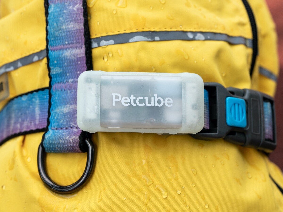 Petcube GPS Tracker LTE/4G dog collar offers live location tracking as well as alerts